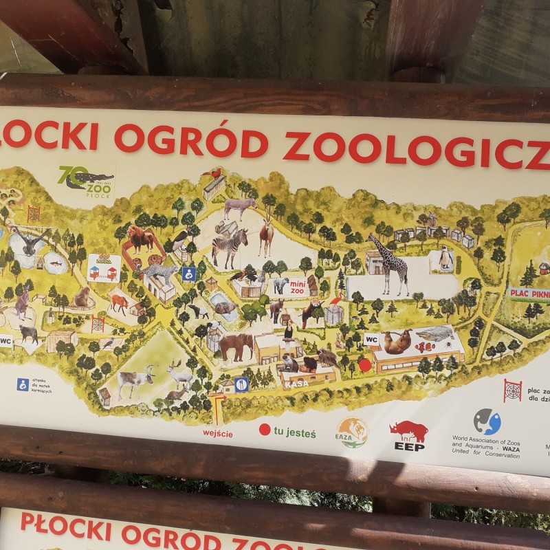 zdjecie:
