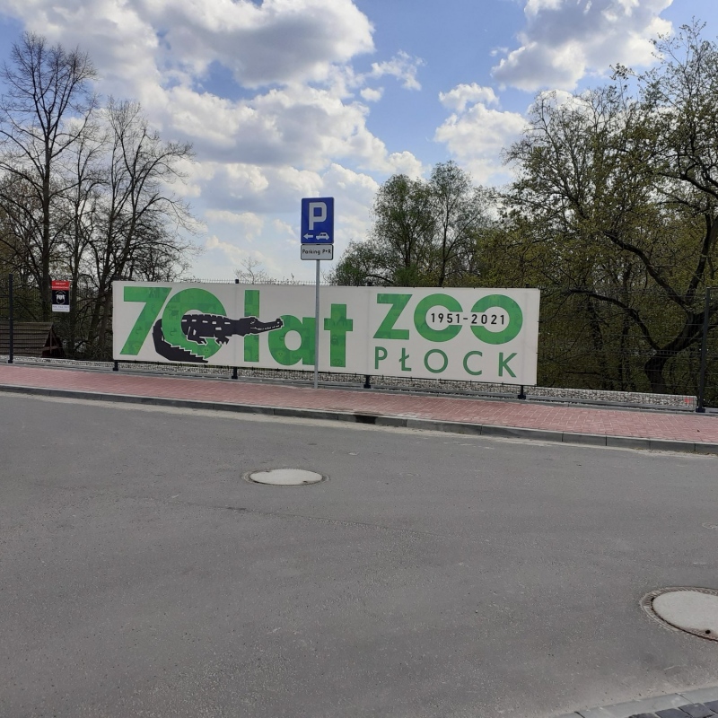 zdjecie: